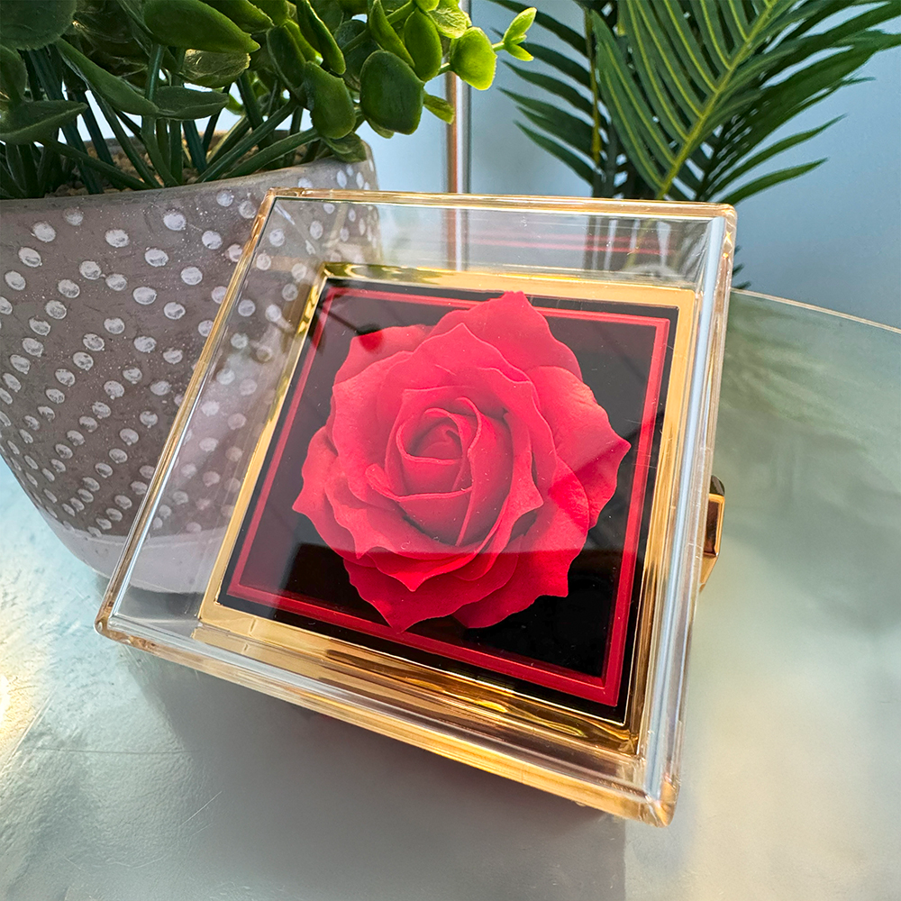 My Promise Rose